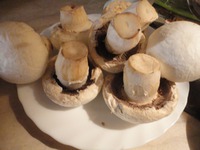 �������� �� ����� �����������