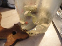 �������� �� ����� �����������