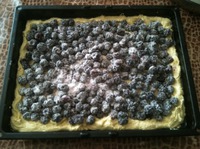 ����� "����� � �������" �����������