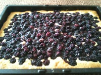 ����� "����� � �������" �����������