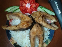 ���� � ��������� ������������ ������ �����������