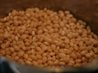 ������ ��-��������� �����������