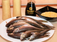 ���� � ���������� ��������� �����������