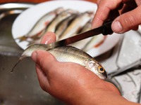 ���� � ���������� ��������� �����������