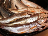 ���� � ���������� ��������� �����������