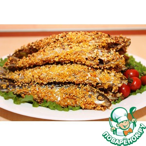 ���� � ���������� ���������