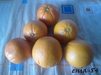 ������� ���������� �����������