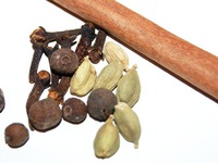 ������ �������� "������������" �����������