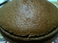 ���� ������������ �����������