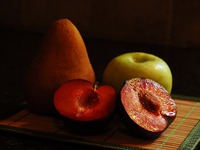 ����� "����������" �����������