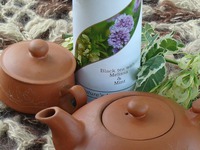 ������� ������ �������� "������������� ��������" �����������