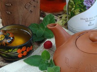 ������� ������ �������� "������������� ��������" �����������