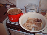 ��������� �� ������� "����" �����������