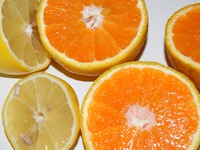 ��������� ��� �����������