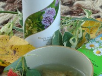 ������� ������ �������� "������������� ��������" �����������