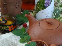 ������� ������ �������� "������������� ��������" �����������