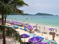 Strong tea on the beach �����������