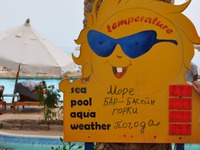 Strong tea on the beach �����������