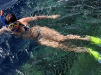 Strong tea on the beach �����������