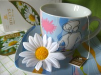 ��������-��� �����������