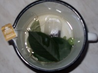 �������� ������ �����������