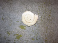 ������� "������" �����������