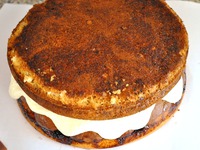 ���� "������ �����" �����������