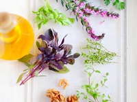 ����� �������� �����������