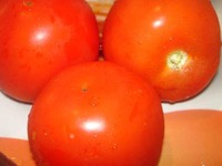 ������� �����������