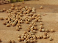 ����� �����������