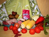 ������ ���������-������ �����������