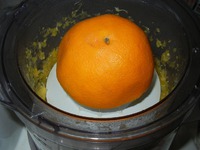 ������ �������� "������������" �����������