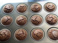 ������� ������ �����������