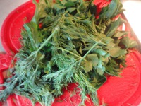 ������� �������� � ������-������� ����� �����������