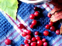 ���������� ��� � ����������� �����������