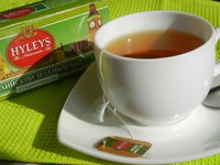 ������ �������� "�������� ����" �����������