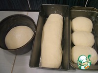 ���������� ����� ���� �� �������� �����������