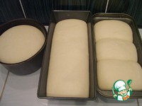 ���������� ����� ���� �� �������� �����������