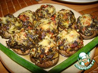 ����������, ������������� �������� �����������