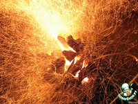 ���� ��-����������� asado �����������