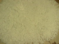 ���� "��������" �����������