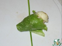 ������� "��������" �����������