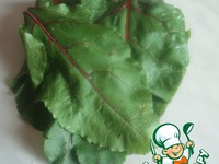 ������� ��� � ������ �����������