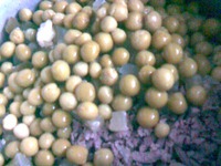 ����� "������� ��������" �����������