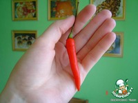 ������ �� ���������� ������� �����������