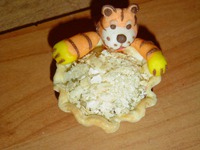 ������  "����������" �����������