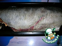 ���� "���� �������� ������" �����������