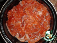 ������ ������ ���� �����������