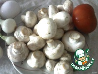 ������� ��������� � ������� �����������