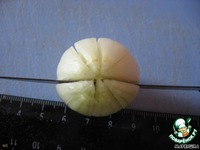 ��������� �� ���� "����������" �����������